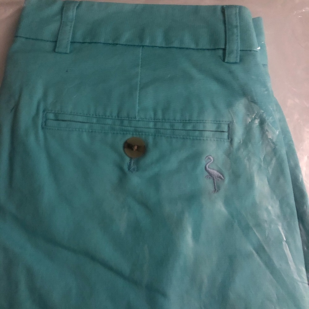 Men’s TailorByrd Dobby Shorts Blue Green Size 30 - Picture 4 of 5